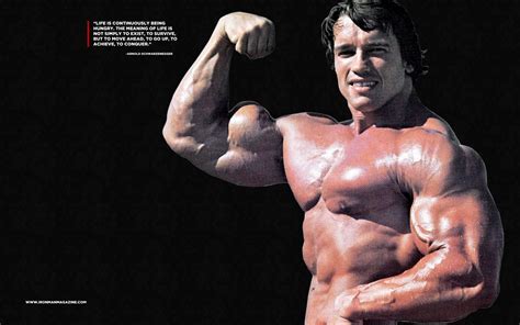 Arnold Schwarzenegger Conquer Wallpaper (73+ images)