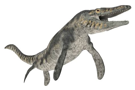 Mosasaurus - A-Z Animals