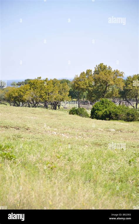 Texas landscape, USA Stock Photo - Alamy