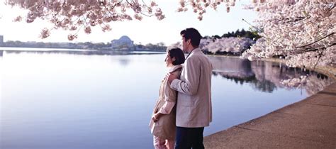 28 Romantic Spots in Washington, DC | Washington.org