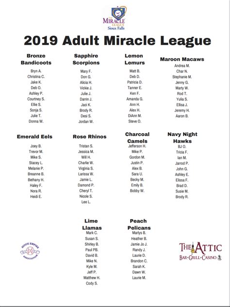 Miracle League