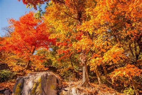 6 Amazing Hikes to See The Breathtaking Fall Foliage