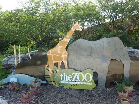 Louisville Zoo Temporarily Closing to the Public | WMKY