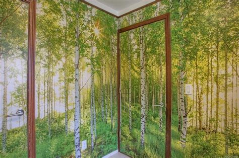 Morning Forest Peel and Stick Wall Mural |Full Size Large Wall Murals ...