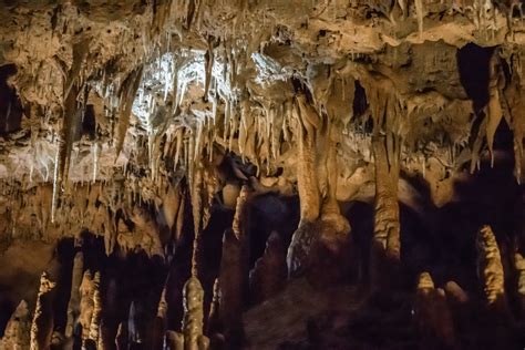 Exploring the Caverns in Florida | Next Stop Adventures