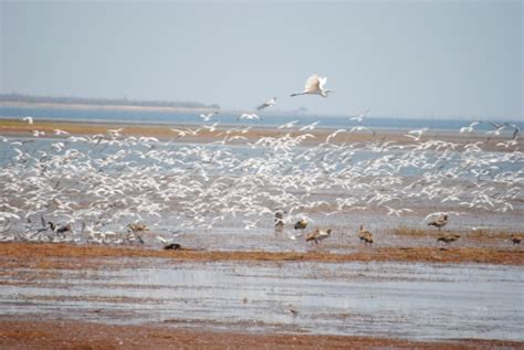 Kariba Dam - Facts and Information