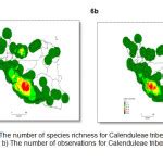 The Geographic Distribution Analyzed of the Four Tribes of Asteraceae (Anthemideae, Calenduleae ...