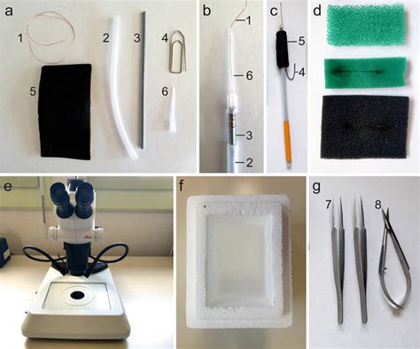 Material for cryoprobe and cryoinjury. (a) Materials necessary to build ...