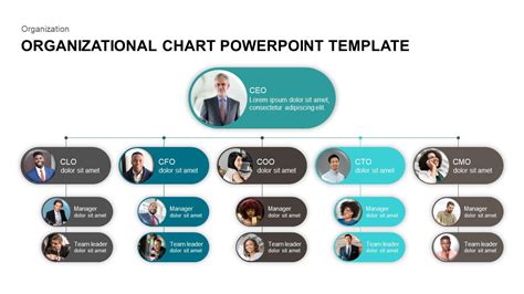 Best Org Chart Templates for PowerPoint | SlideBazaar