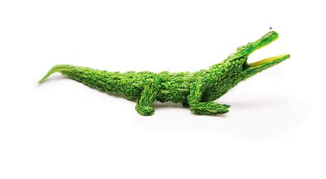 PETA India Launches Vegan Campaign With Animals Carved out of Veggies ...