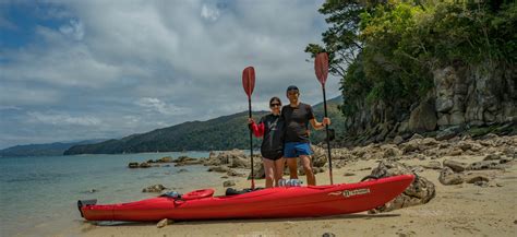 Kayaking with Seals in the Abel Tasman National Park - Here to Elsewhere