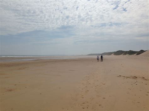 Warkworth beach and big skies | Beach, Big sky, Picture