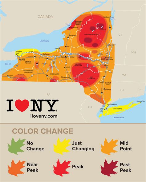 Fall Foliage Map