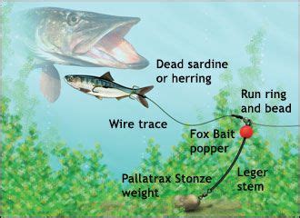 Rig for pike ice fishing | Bass fishing tips, Fishing tips, Bass fishing