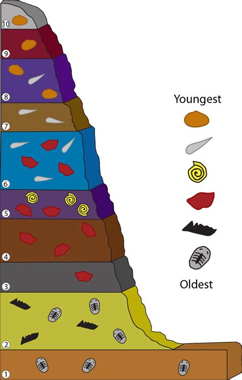 Laws of Horizontality & Superposition - Maggie's Science Connection