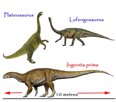 Triassic Dinosaurs Just Got Bigger - Ingentia prima