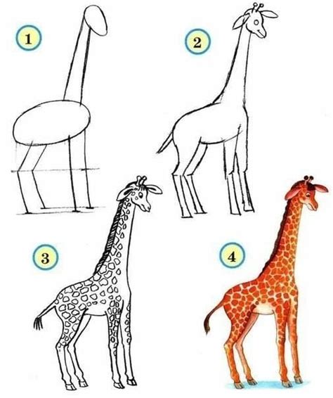 How to Draw Zoo Animals Easily | Drawing for kids, Easy drawings, Giraffe drawing