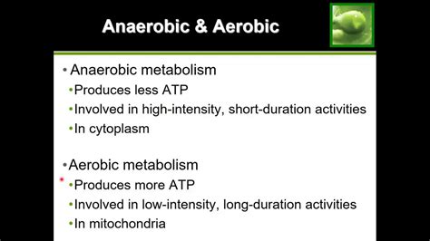 Anaerobic Metabolism Vs Aerobic Metabolism