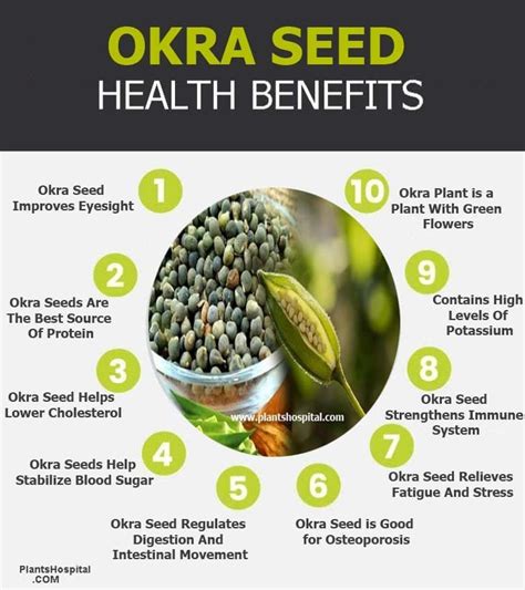 10 Amazing Health Benefits Of Okra Seed: Uses, Warnings & More