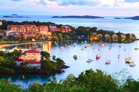 many boats are in the water near some buildings and trees at dusk, with lights on them