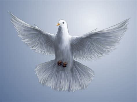 Christian Dove Clipart Images | Free Download | PNG Transparent - Clip ...