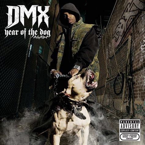 Ranking the Best DMX Albums | Soul In Stereo