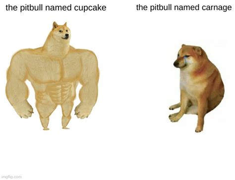 a pitbull named cupcake - Imgflip