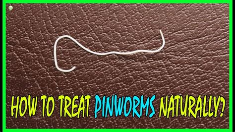 5 Effective Home Remedies To Treat Pinworms Naturally - How To Get Rid ...