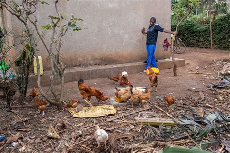 Uzima Chicken - EthioChicken | Shot in Kigali, Rwanda | Flickr