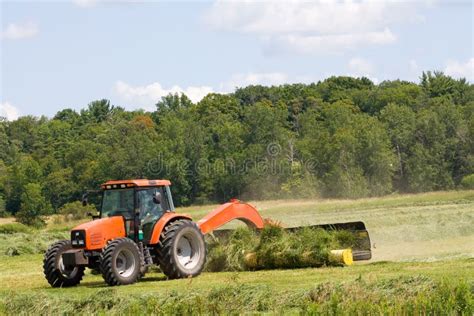 Harvesting Hay. Royalty Free Stock Photography - Image: 10962037