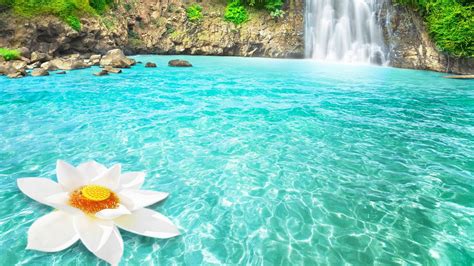 1600x900 Waterfall Flowers 1600x900 Resolution HD 4k Wallpapers, Images ...