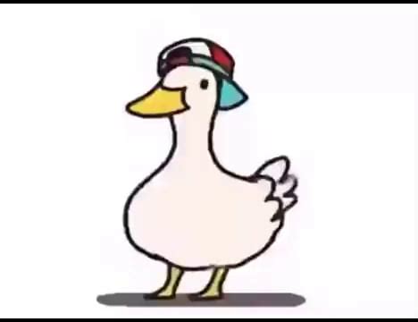 This little dancing duck, makes me feel peaceful. - 9GAG