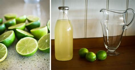 Lime Cordial Recipe Thermomix | Besto Blog