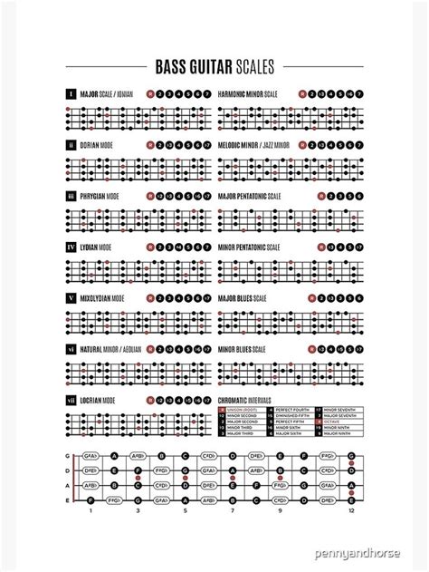 "Bass Guitar Scales & Modes Chart" Poster for Sale by pennyandhorse ...