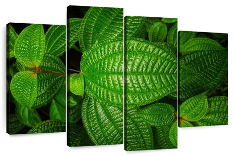 Lush Tropical Leaves Wall Art | Photography