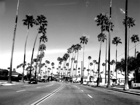 south central los angeles on Tumblr