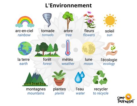 Useful French Vocabulary: The Environment