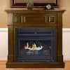 Pleasant Hearth 27,500 BTU 42 in. Convertible Ventless Propane Gas Fireplace in Heritage VFF ...