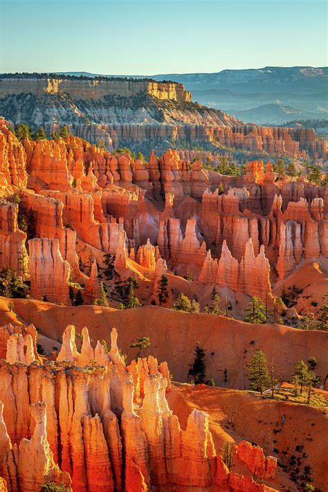 Hoodoos Of Sunset Point At Sunrise Photograph by Pierre Leclerc ...