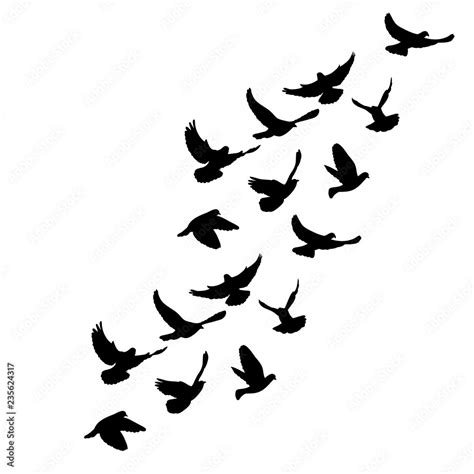 flying flock of doves silhouette Stock Vector | Adobe Stock