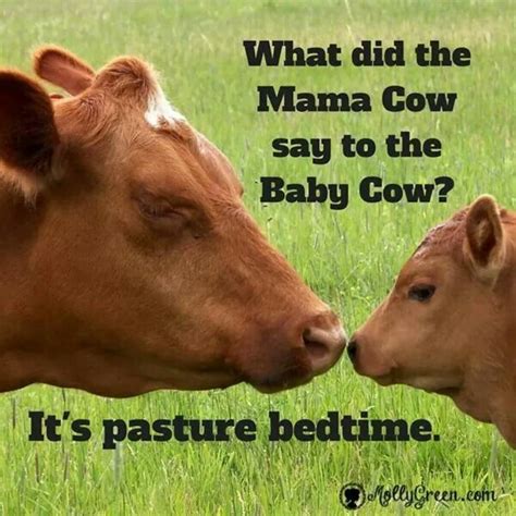 Pin by Donna Marshall on Country and Farming scenes | Funny jokes for kids, Funny jokes and ...