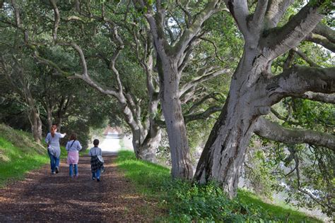 Tours of the Elkhorn Slough Reserve - Elkhorn Slough