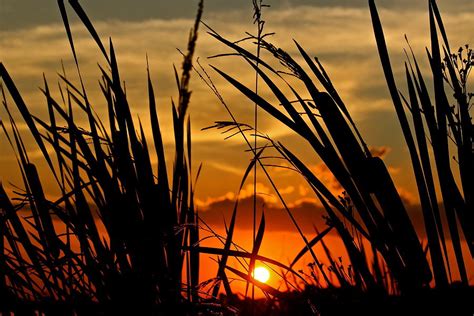 Mississippi Sunset at the Ross Barnett Reservoir 2 Photograph by Jim ...