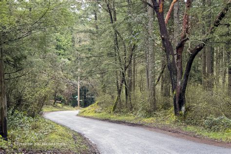 Saanich Peninsula Landscapes - Small Sensor Photography by Thomas Stirr