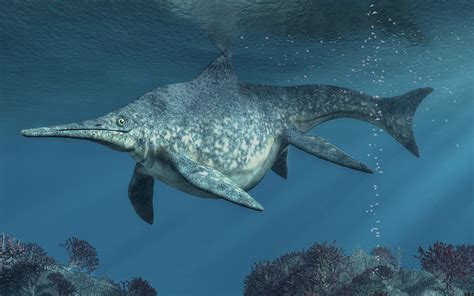 10 Monster Predator Laut Prasejarah – arnews.id