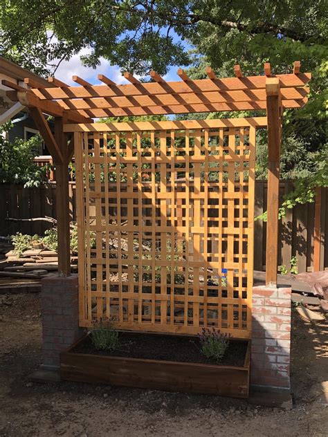 A trellis privacy screen I built. Eventually will put in a patio and hot tub. Planted a ...