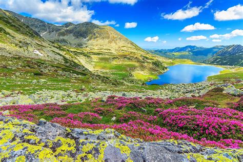 Carpathian Mountains - WorldAtlas