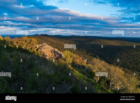 Mediterranean forest hi-res stock photography and images - Alamy