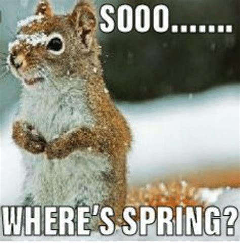 7 Funny Spring Memes to Welcome the New Season 7 Funny Spring Memes to Welcome the New Season ...