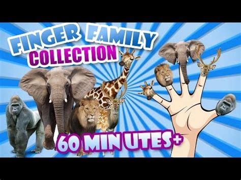 Animal Finger Family 60 Minutes 3D Cartoon Nursery Rhymes Collection ...